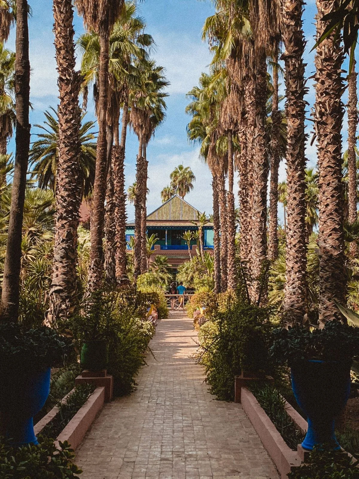 Marrakech — History & Culture — 8 days from Casablanca